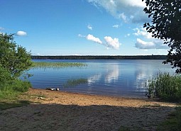 Берег озера П. Ильичево